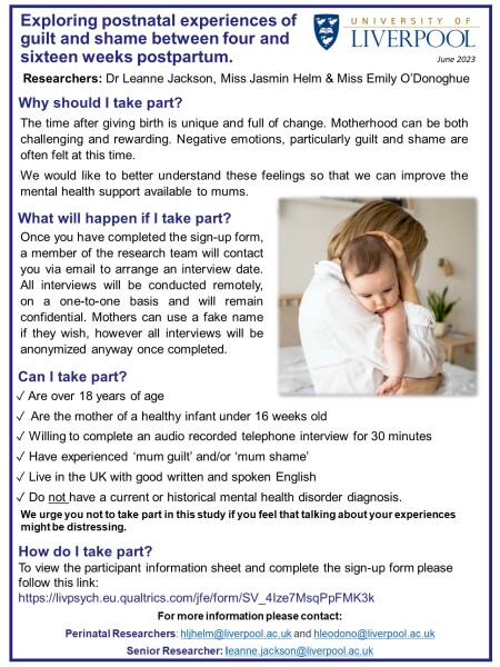 Mum Guilt Research