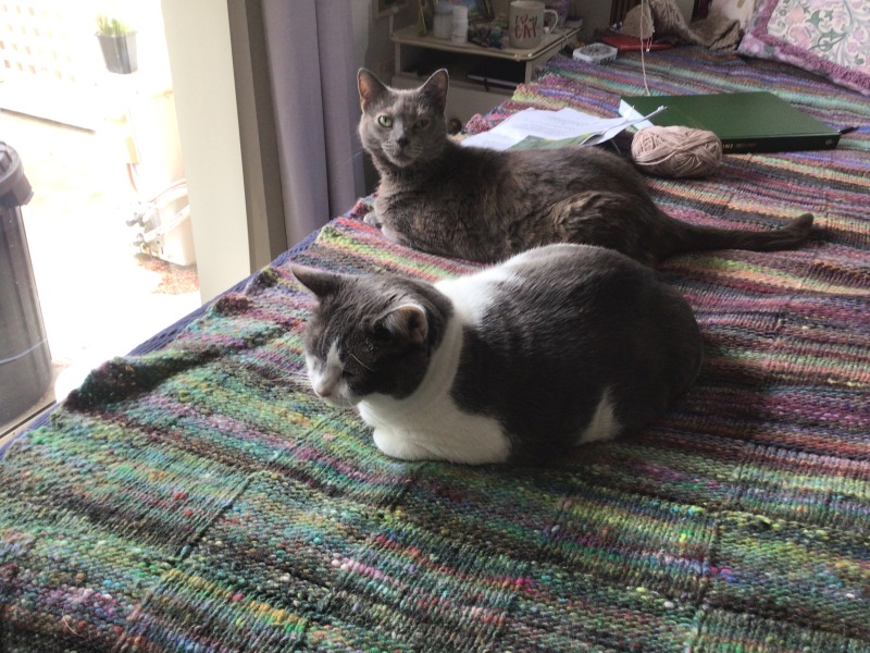 Childfree - what's your take on pets?