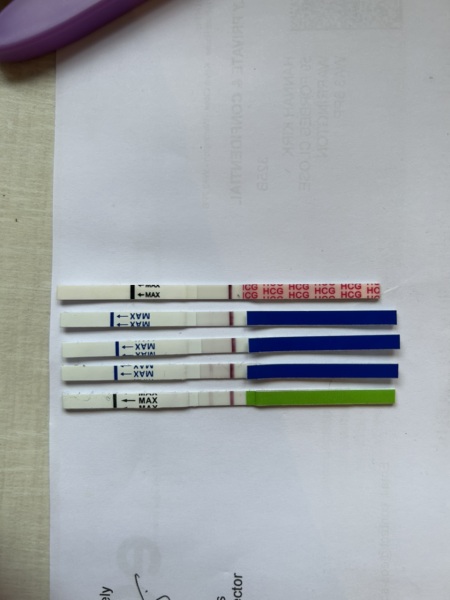 Bfp and bfn same urine?! PICS