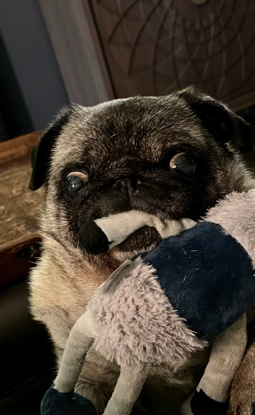 Pancreatic and liver cancer