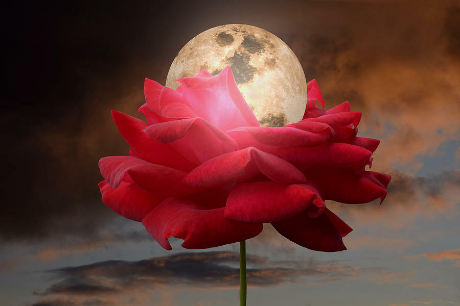 Any Witches Here?- Part 18