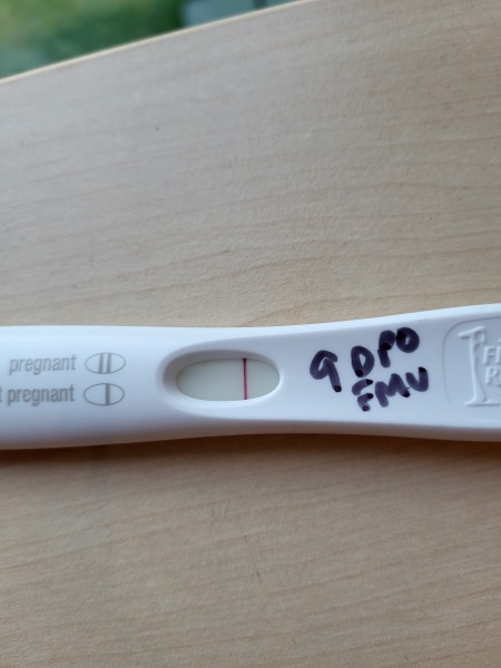 This forum seems so quiet...