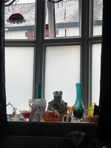 Venitian blinds, vertical blinds or privacy film and curtains? 