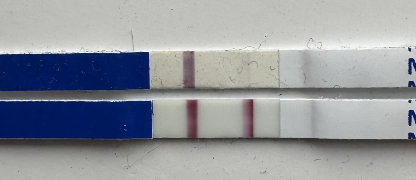 TTC May 2023 💖✨ previous MC March 2023