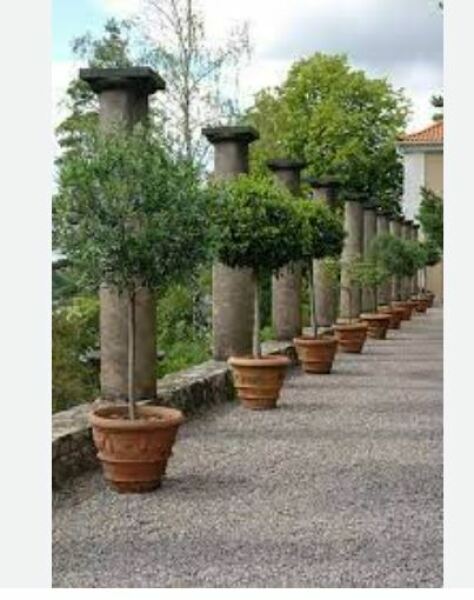 How to soften hard landscaping 