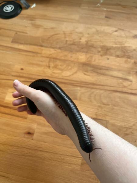 Boots refusing to sell canesten to men! Wtf!