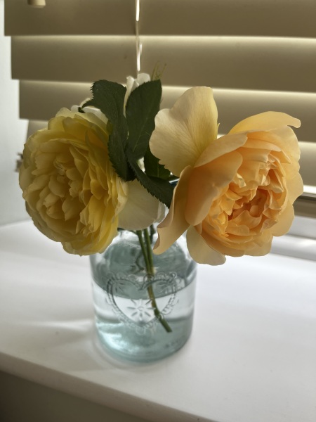 Rose Appreciation Thread