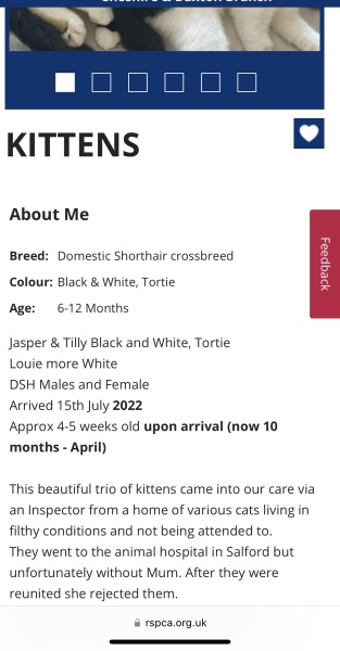 I want to adopt a cat from RSPCA but every cat I clicked on says no kids in household 