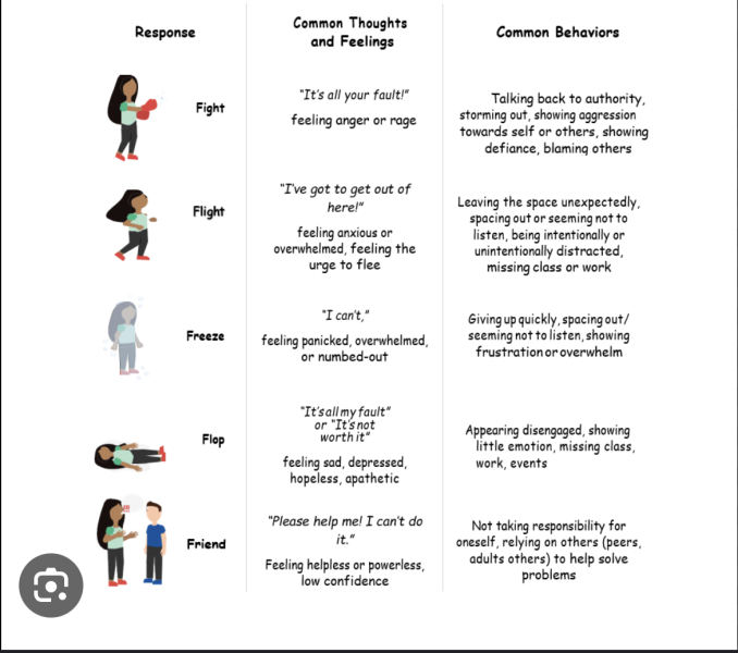 What would be your threat response....fight, flight or freeze? 