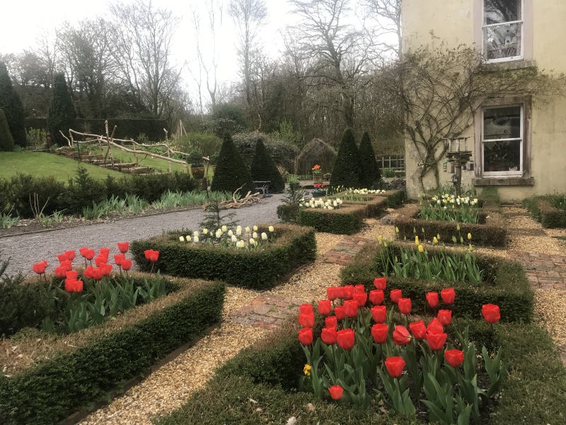 What have you done in the garden today? Part 2