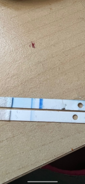 So I cracked open 2 clear blue digitals…