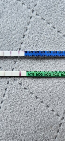 TTC May 2023 💖✨ previous MC March 2023