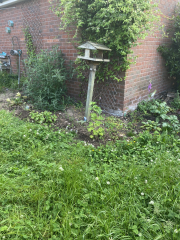 Anyone not cutting their grass - how's it going?