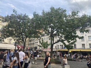 I'm starting saxenda this week. 