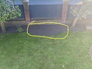 What can I plant here?