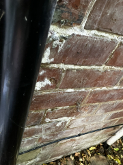 To think the council are disgusting for how the council treat their tenants ?