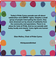 Anyone else feel Pride is really toned down this year?