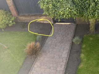 What can I plant here?
