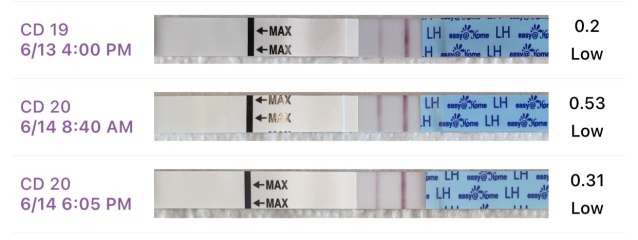 OPK and ovulation (Premom / ClearBlue)