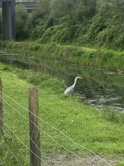 Come and tell me your dull and unexciting news 25: Calmly through the day 