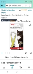 Help - fleas in the house!