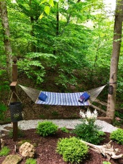 What would you do with this area of garden? (Pic)