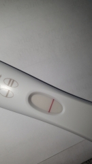 Positive test 24 hours after implantation discharge?!?! 