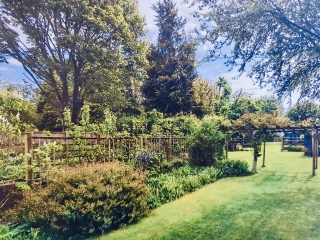 Would you hire a holiday cottage that had a beehive in the garden? 
