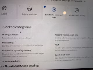 Porn suddenly accessible on our broadband.