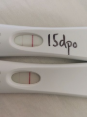 Slow FRER line progression? 