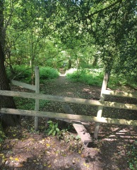 Come chat hiking with me!