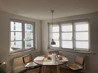 White or cream blinds for minimalist sunny living room?
