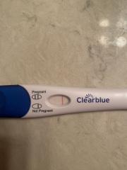 Positive Urine Pregnancy Tests + Negative Blood test