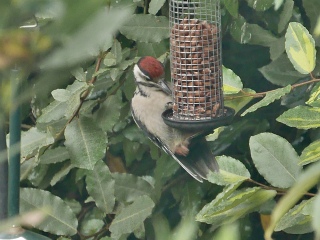 Come and tell me your dull and unexciting news 25: Calmly through the day 