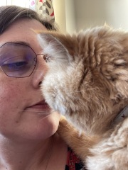 I think Cheddar is feeling better.