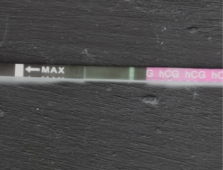pregnancy test