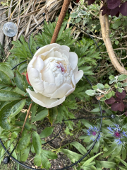 Autistic women assemble!