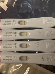 Positive Urine Pregnancy Tests + Negative Blood test