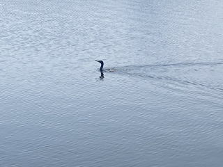 Come and tell me your dull and unexciting news 25: Calmly through the day 