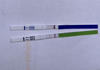 10dpo tests?