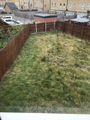 I bought 160 bare root  perennials for £40!