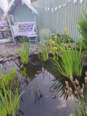 The lovely bit of your house