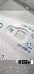 Clear blue test. Evap line or positive