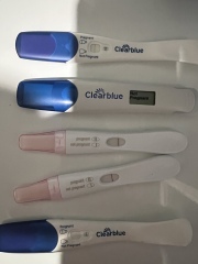 Clear blue test. Evap line or positive