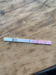 9dpo… line eyes please!