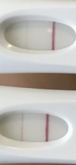 V faint line frer 3 days in a row 8-10dpo 
