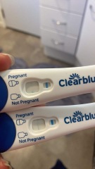 Clear blue test. Evap line or positive