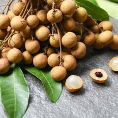 Thread 8 - TalkLair: “Brewing Russell's teapot” 