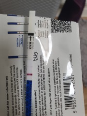 Pregnancy testing 