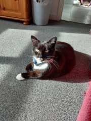 How much would you expect to pay for a one off deep clean of a 2 bed flat?